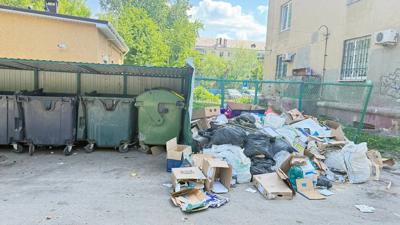 Мусор и заросли  Жители дома на Ленина, 64/1 пожаловались на мусор возле контейнеров и некошеную тра