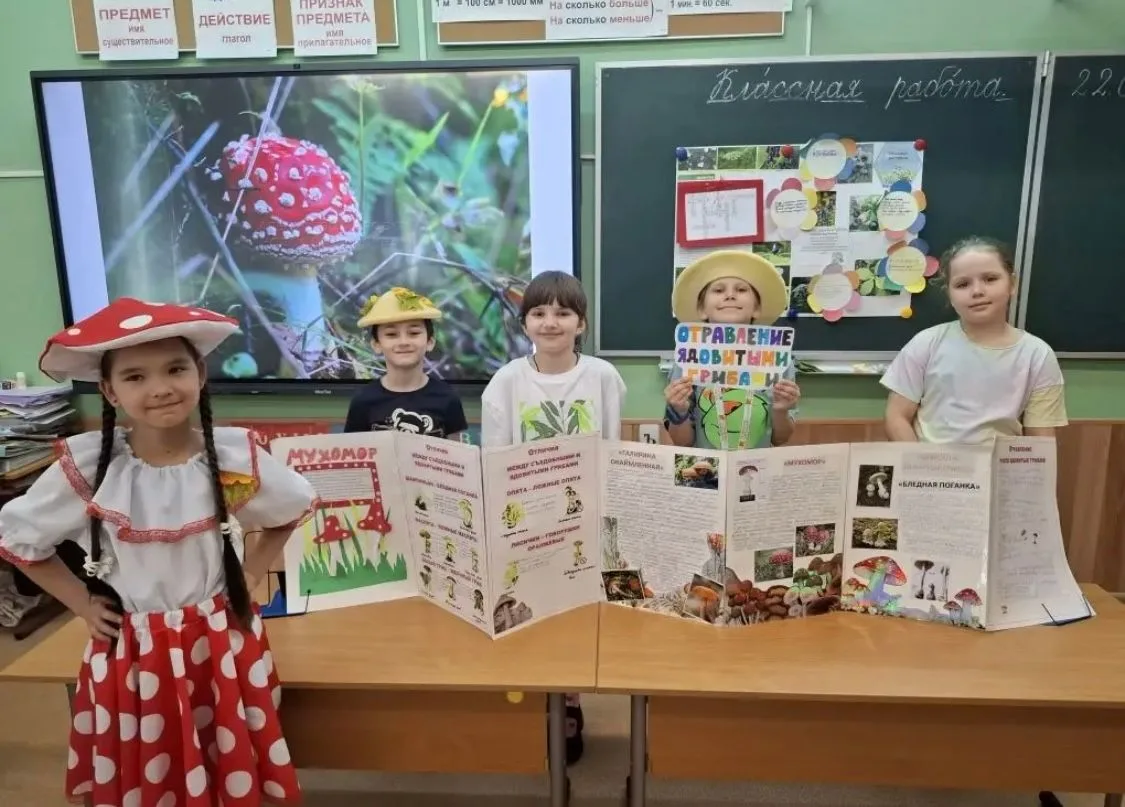 Как второклассники готовились к безопасным каникулам: защита проектов по окружающему миру

На послед