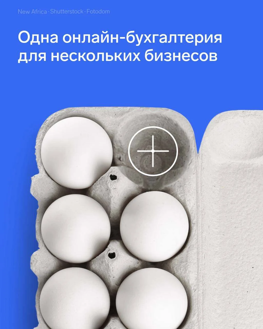 📈 Бухгалтерия нескольких бизнесов в Эльбе