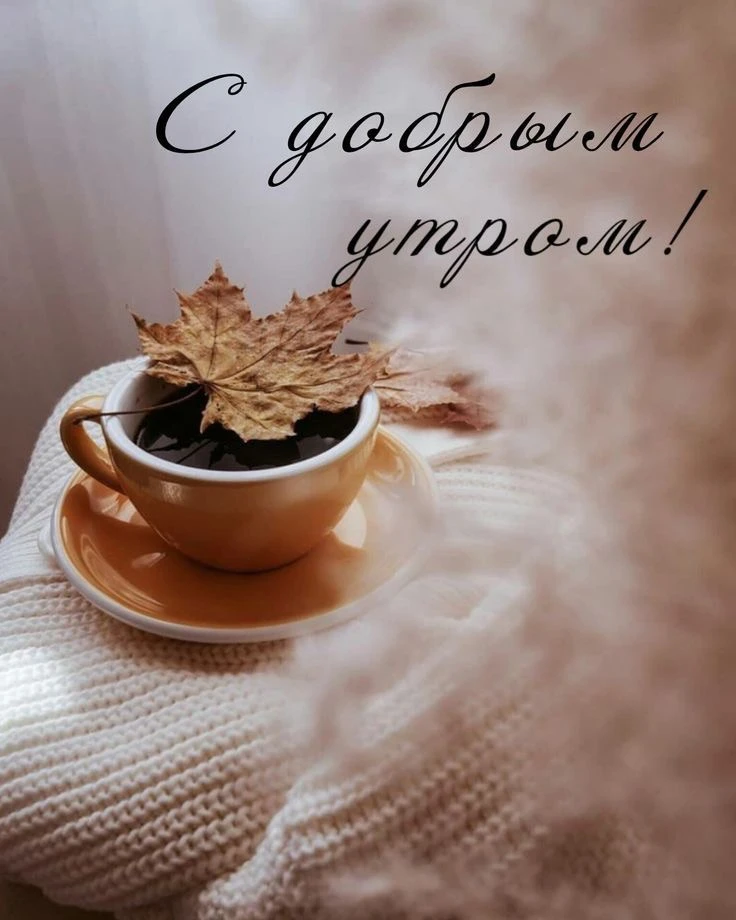 Доброе утро 🌞