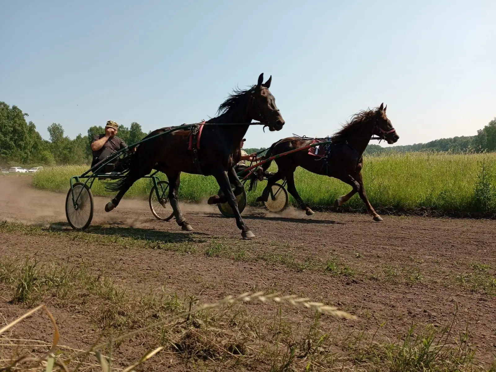 🐴 Ачинцев приглашают на конноспортивные состязания «Серебряная подкова»
 
Хотите провести выходной 