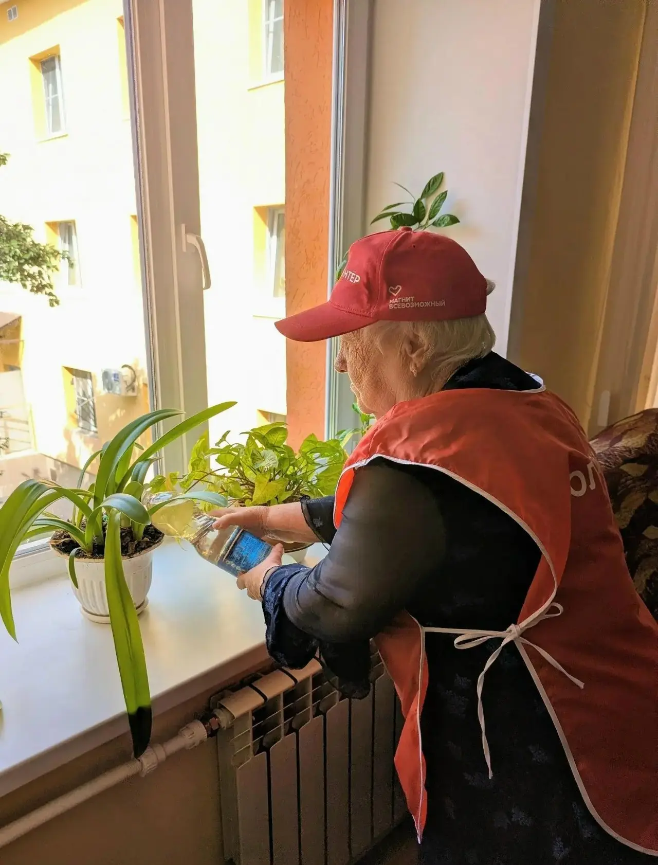 Обустраиваем быт, ухаживаем за растениями...