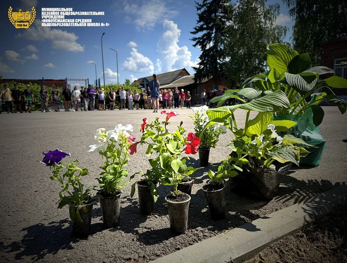 🌼 День экологии в пришкольном лагере «Солнышко»: вместе — за зелёное будущее! 🌼