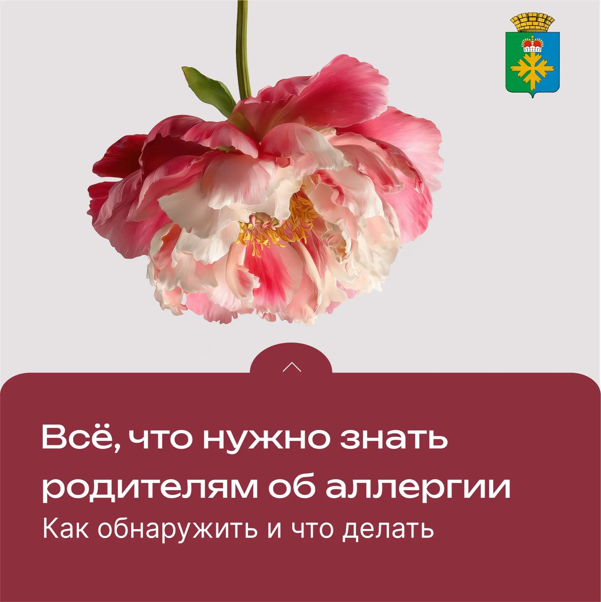 Всё, что нужно знать об аллергии