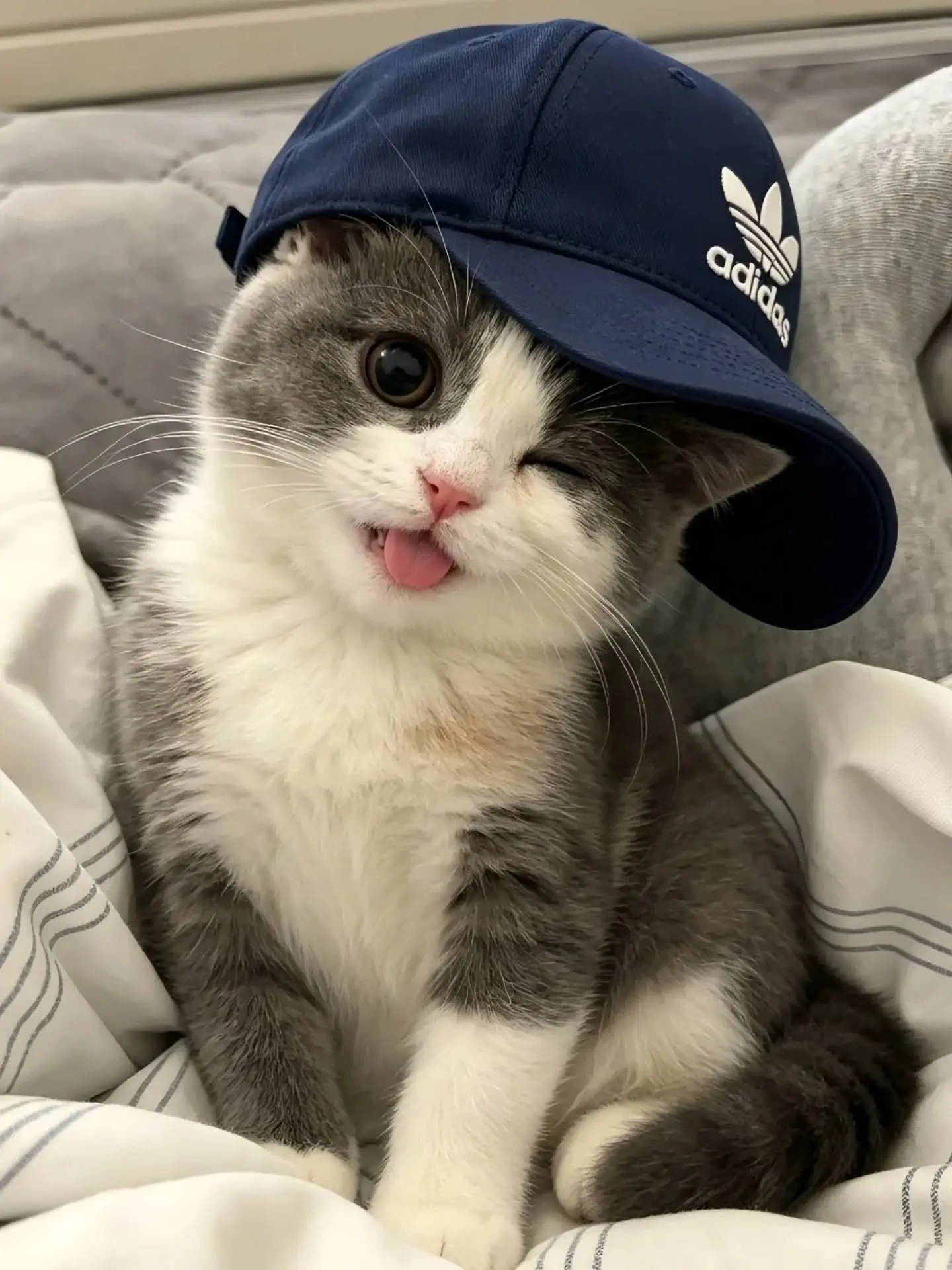 Милоты в ленту 💖
