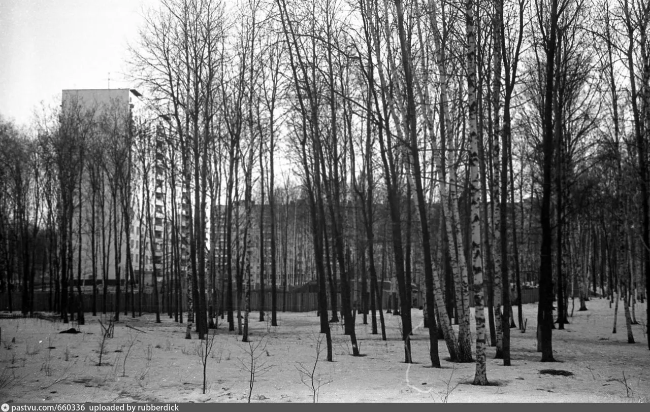 Начало стройки домов 20 и 22 по ул. Центральная