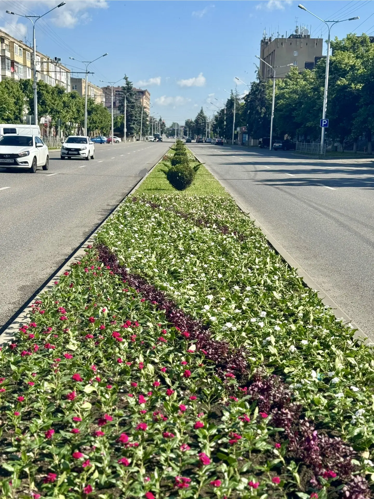 🌸 «Цветочный отдел»неустанно трудится над украшением разделительной полосы на пр. Ленина! 🌼 

Кажд