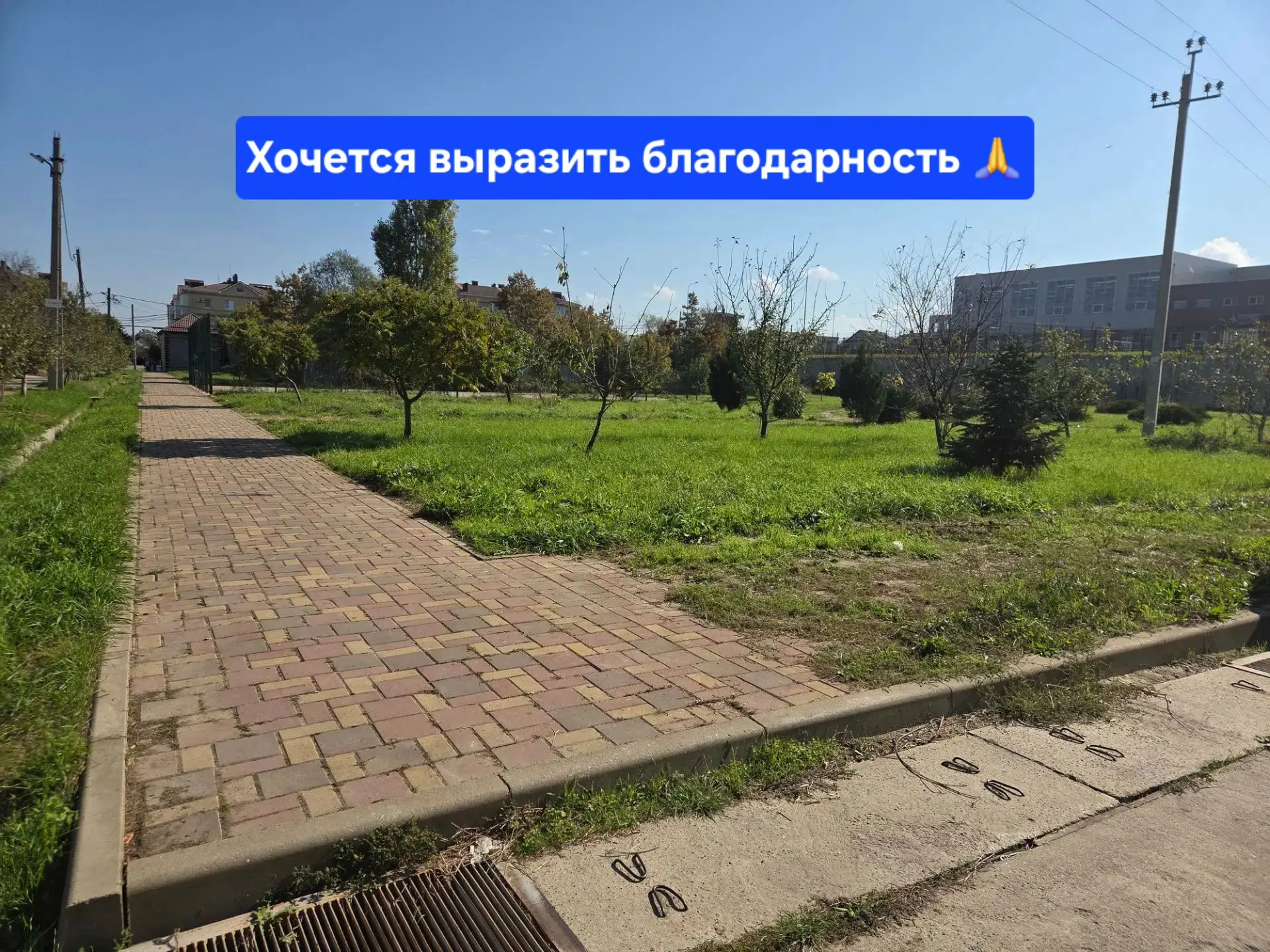 Добрый день!
