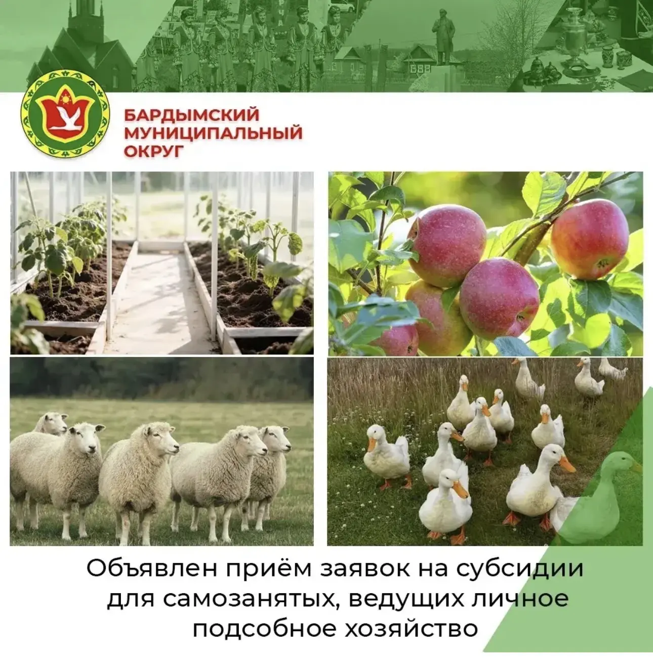 Уважаемые владельцы личных подсобных хозяйств!

Управление сельского хозяйства и предпринимательства
