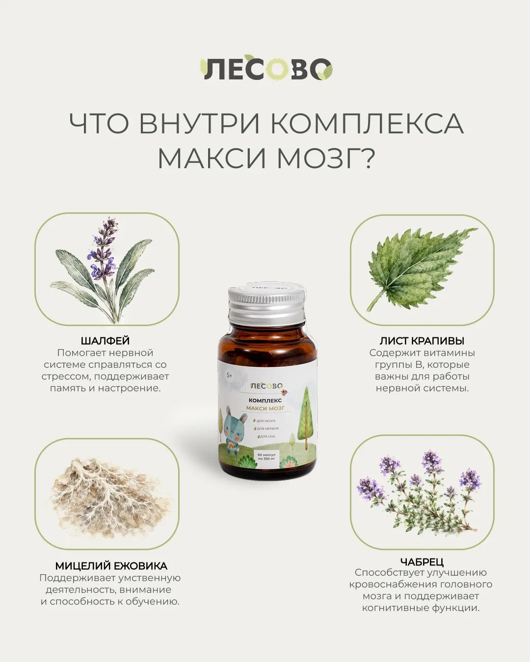 Макси мозг – детский комплекс, который у нас знают, любят и выбирают снова!