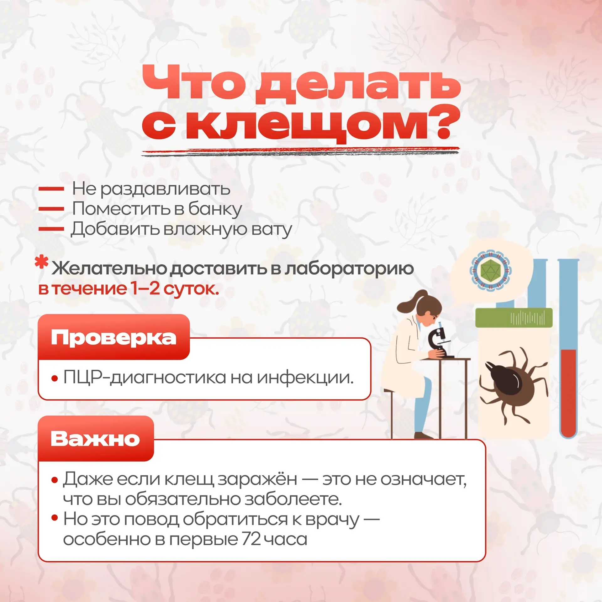 🐜🔎 Ура! Мы подготовили для вас памятку «Сезон клещей»!  📘 Теперь вы точно знаете, как обезопасить се
