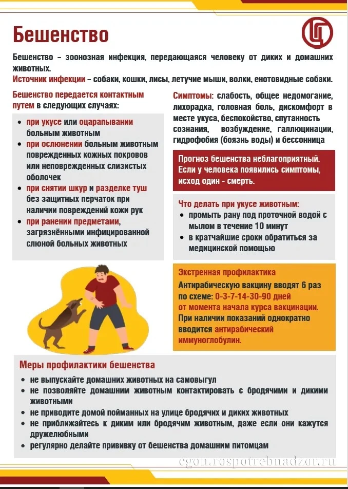 Прививки питомцам от бешенства Бешенство – неизменно смертельное вирусное заболевание для животных и