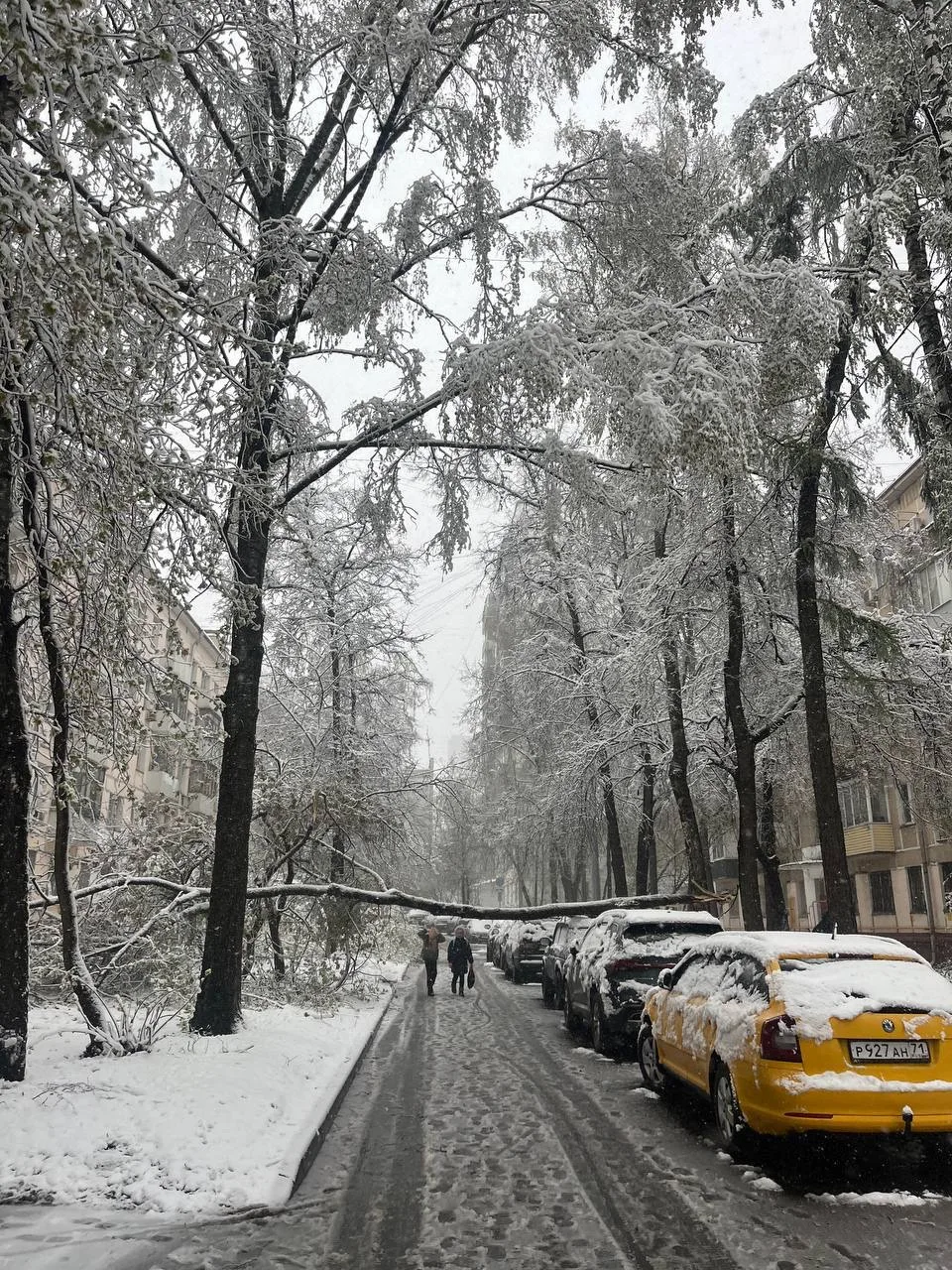 27 апреля Москву и Подмосковье накрыл снежный апокалипсис ❄️