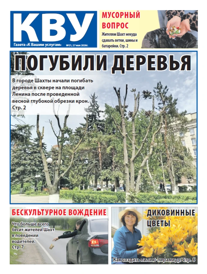 Свежий выпуск "КВУ": погибли обрезанные деревья, украл "Нутеллу" и отправился в тюрьму, жителям Шахт