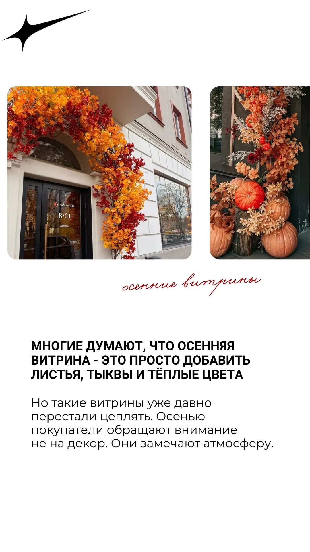 🍂 Осенью у витрины есть всего 3 секунды, чтобы зацепить