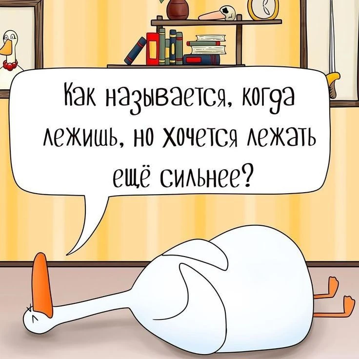Подпишись, чтобы не потерять👇
