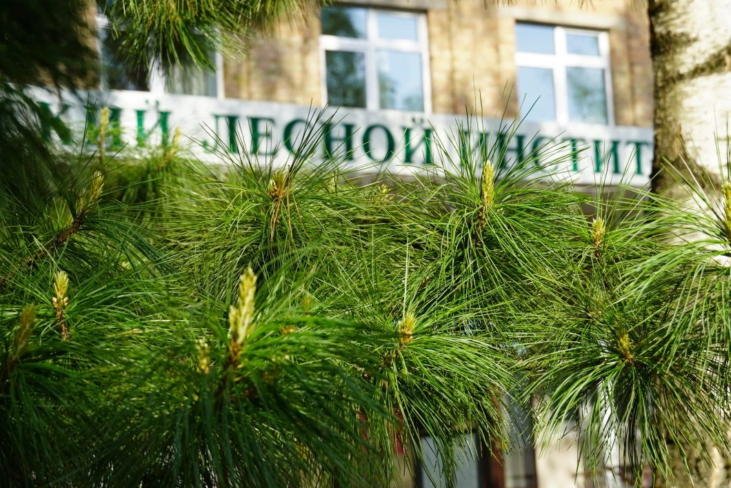 Знаете, куда сбежать от городской суеты, не уезжая из центра?