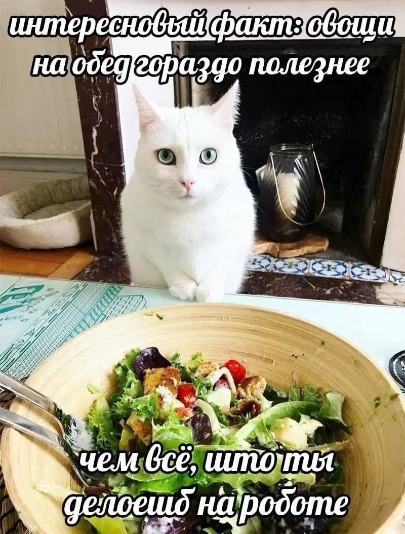 Мемы в MAX