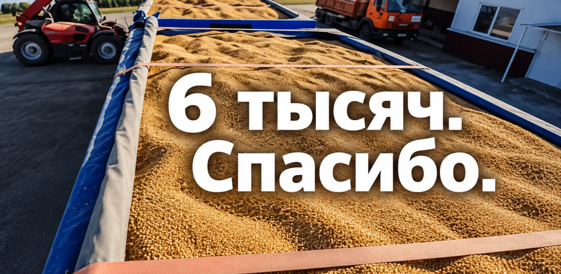 В Воронежской области зерно предлагают дешевле себестоимости