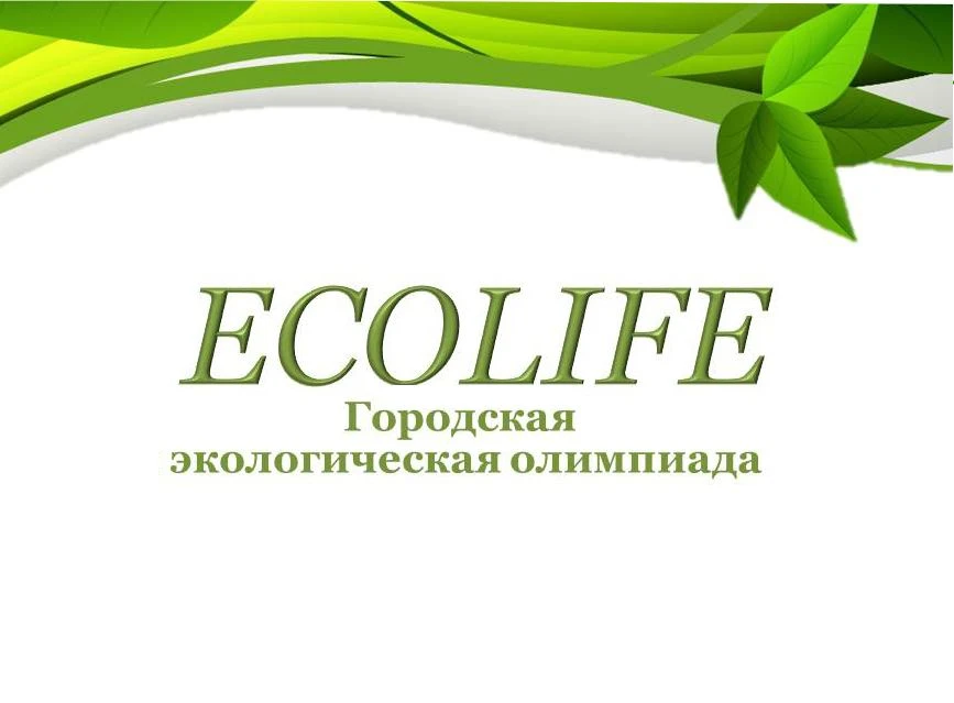🌍 В городе Кемерово состоялась городская экологическая олимпиада «Ecolife», посвященная Всемирному 
