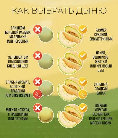 Как выбрать идеальную дыню