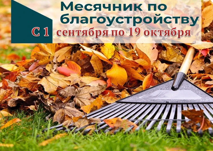 🍁🍂С 1 сентября по 19 октября 2026 года в районе проходит традиционный осенний месячни...