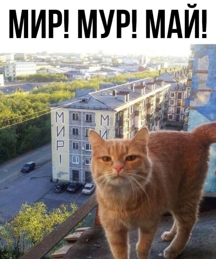 Даздраперма!