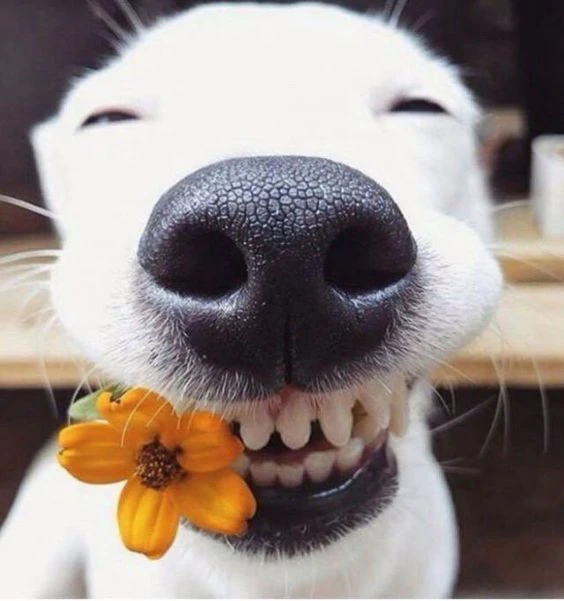 🙂Улыбка пятницы!🙂