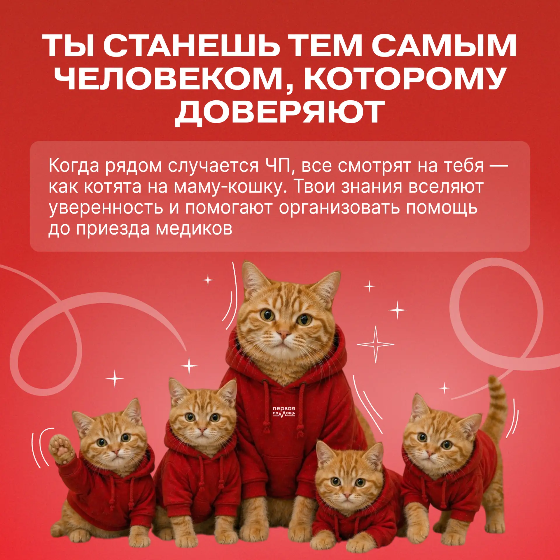 🐾 После проекта «Первые — амбассадоры Первой помощи» ты точно не скажешь, что у тебя лапки!  Решили 