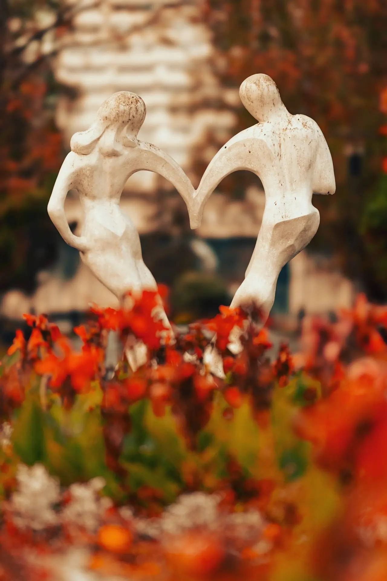 Осень 🍂