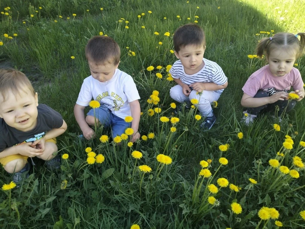 Лепка " Одуванчик"🏵️