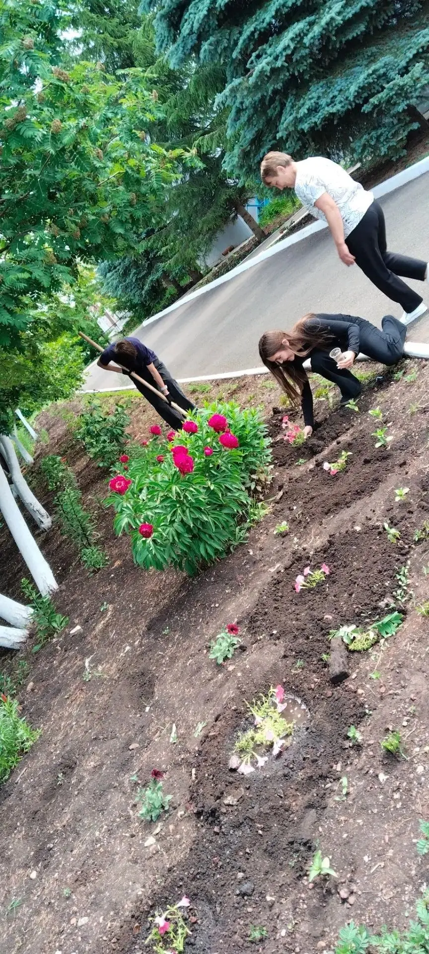 🌿🧑‍🌾 ТРУДОВОЕ ЛЕТО 🧑‍🌾🌿Пока одни отдыхают, другие создают красоту и порядок своим...