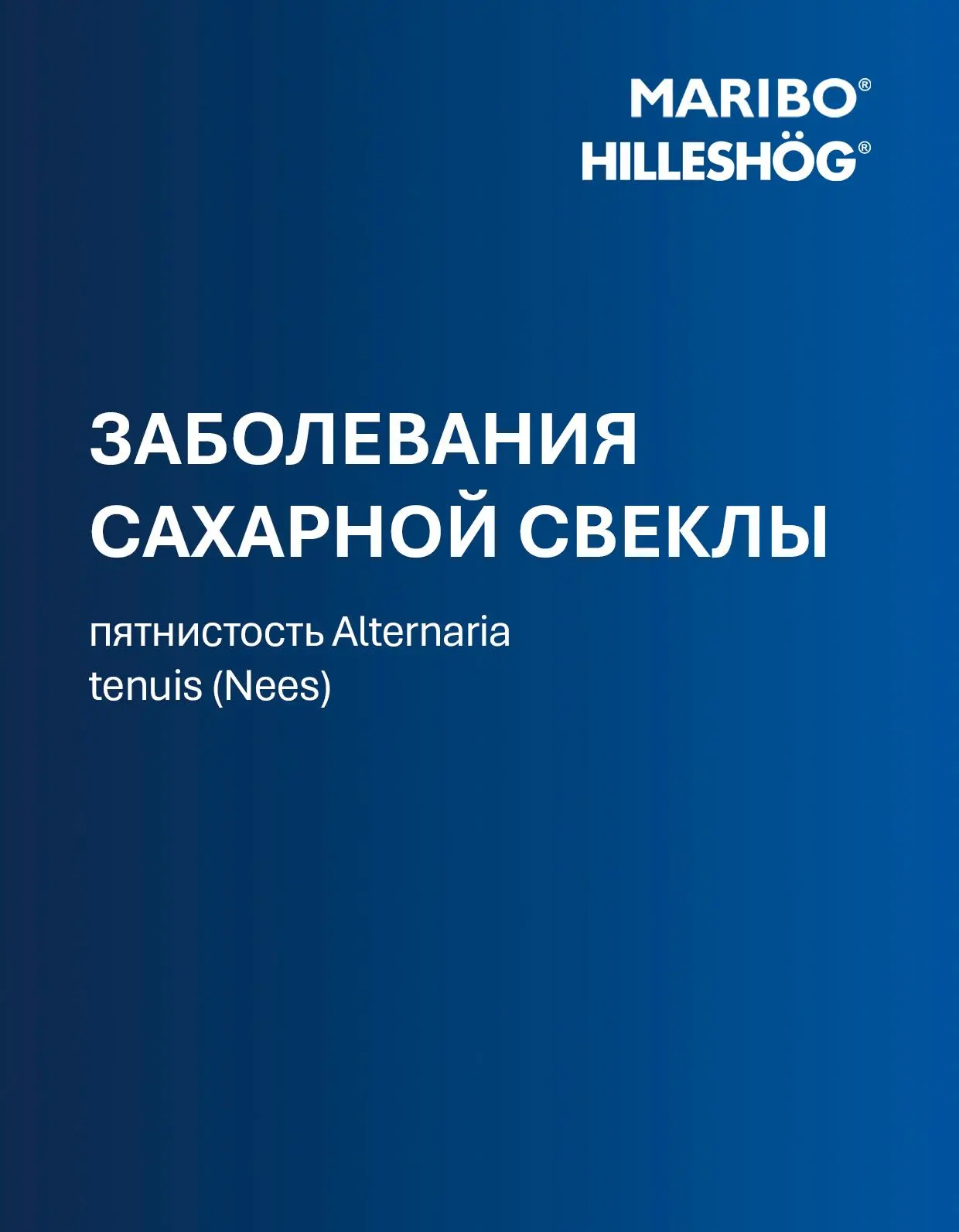 📢 Мы продолжаем знакомить вас с опытом наших европейских коллег.