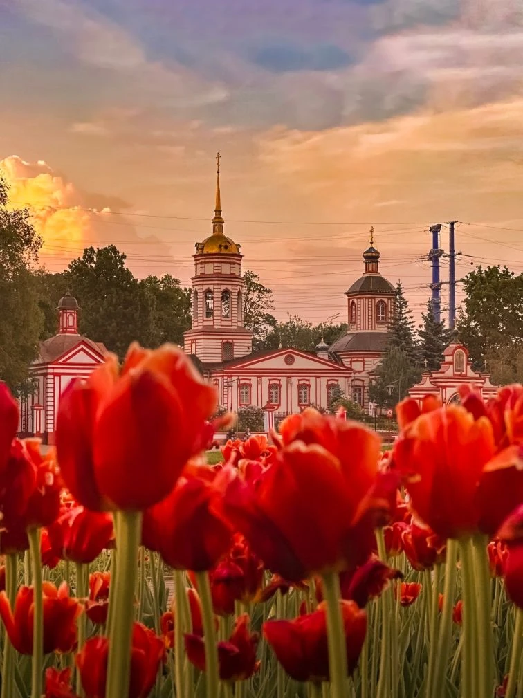 Закат на Алтуфьевском пруду✨🌇