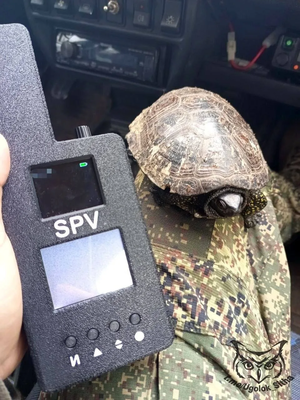 Доброе утро, родные