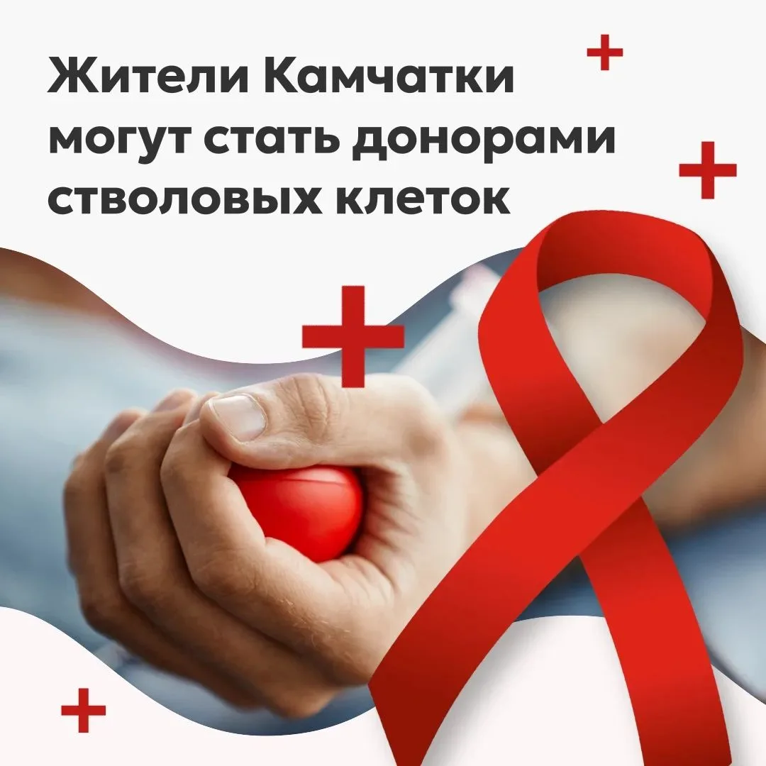 На Камчатке растёт Федеральный регистр доноров костного мозга.