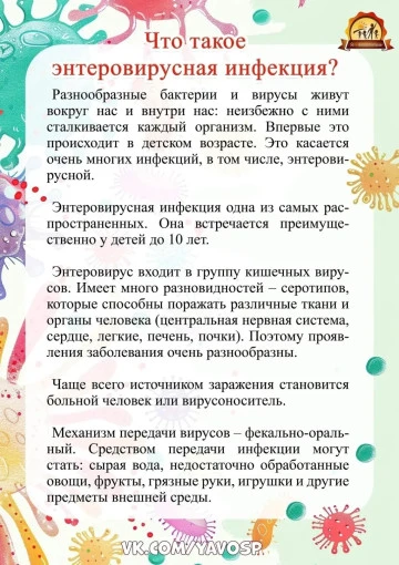 Это должен знать каждый родитель: энтеровирусная инфекция в ДОУ!
Энтеровирусная инфекция – повсемест