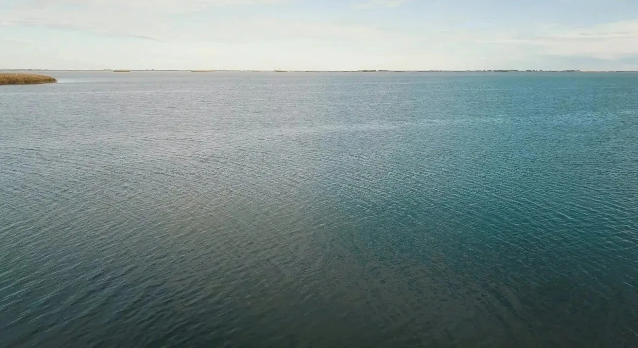 Каспий отступает все дальше: ученые раскрыли масштабы обмеления моря