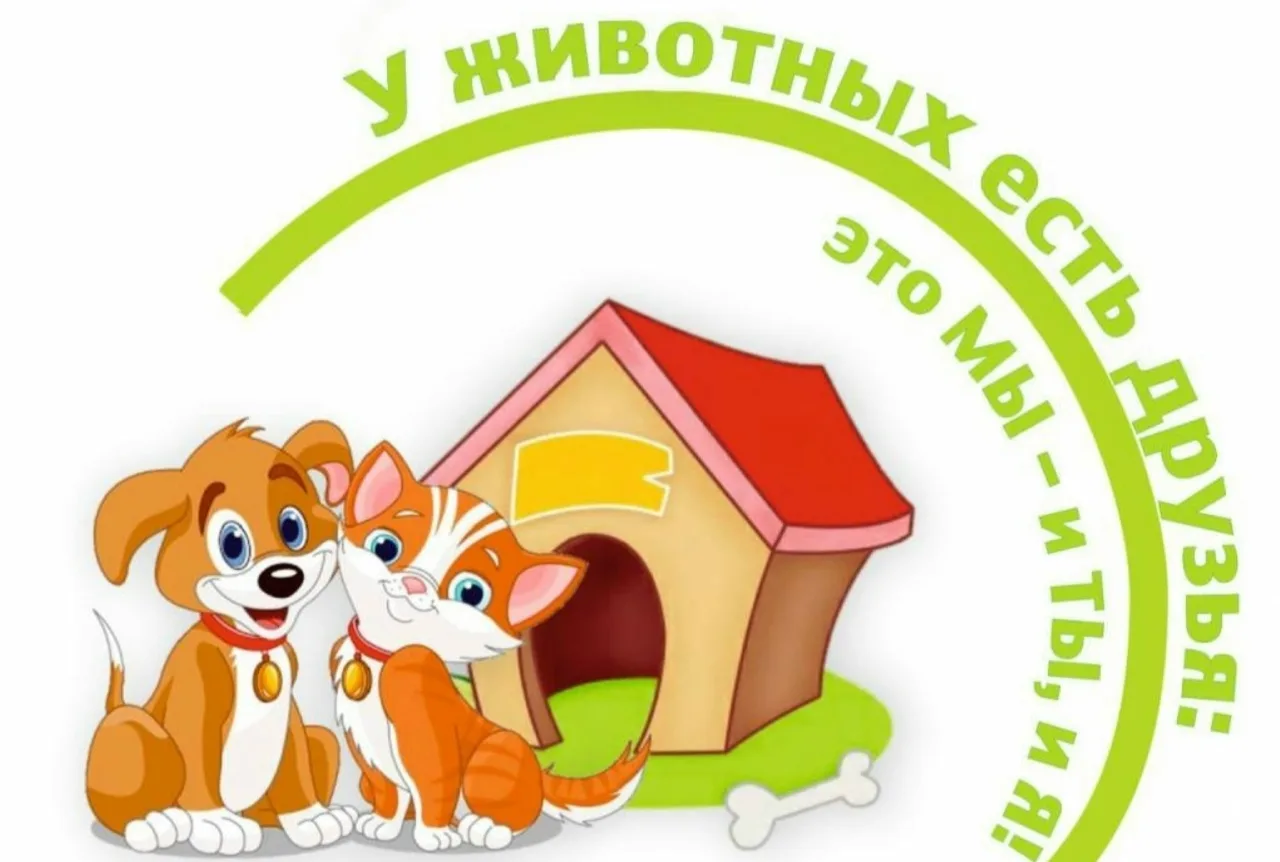 Дорогие Друзья!!☺️ 24 февраля 2026 мы начинаем сбор гуманитарной помощи в приют бездомных животных🙌 