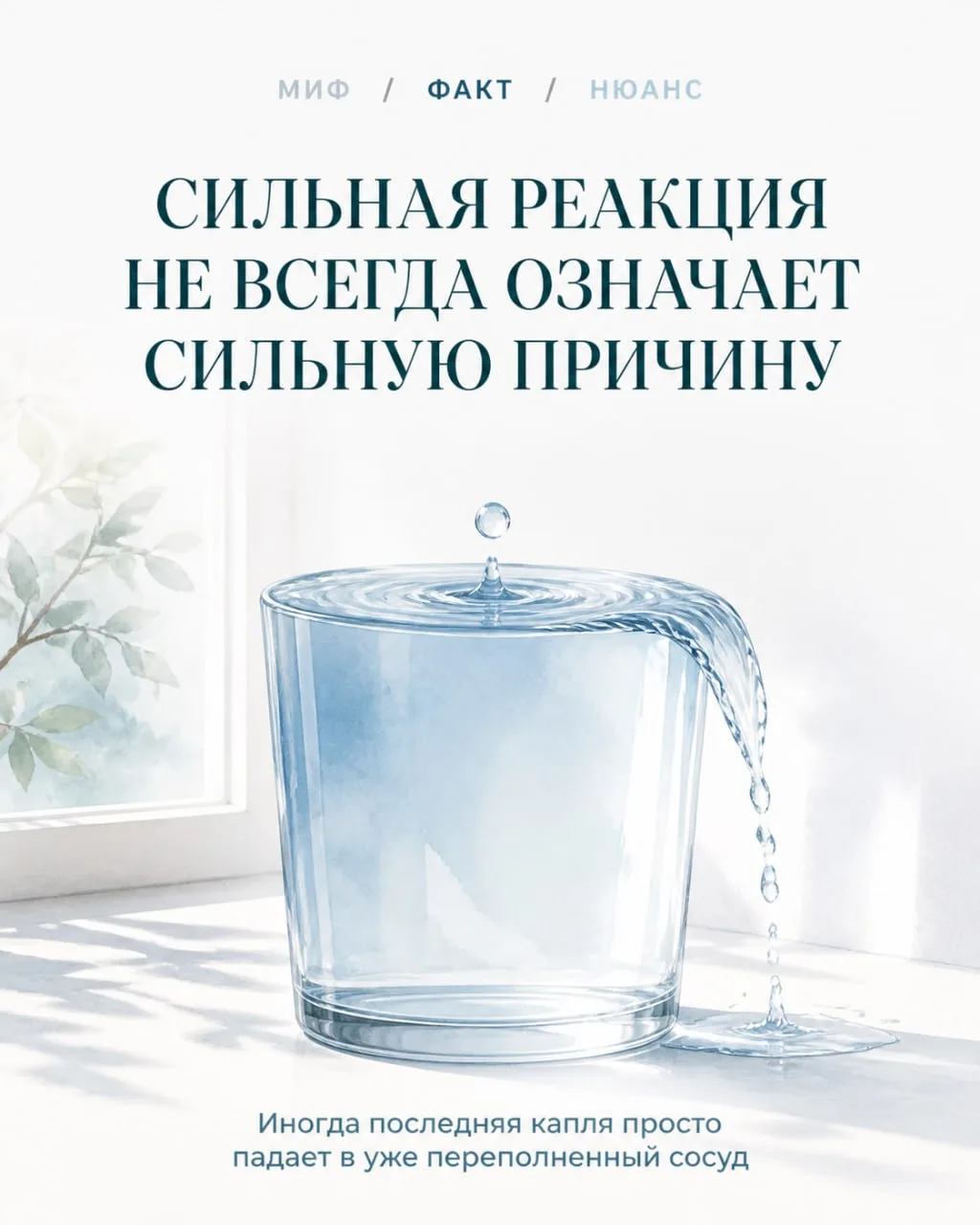 МИФ / ФАКТ / НЮАНС
