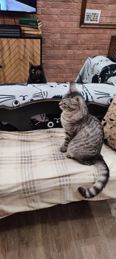 ❗ВАЖНО ЗНАТЬ❗