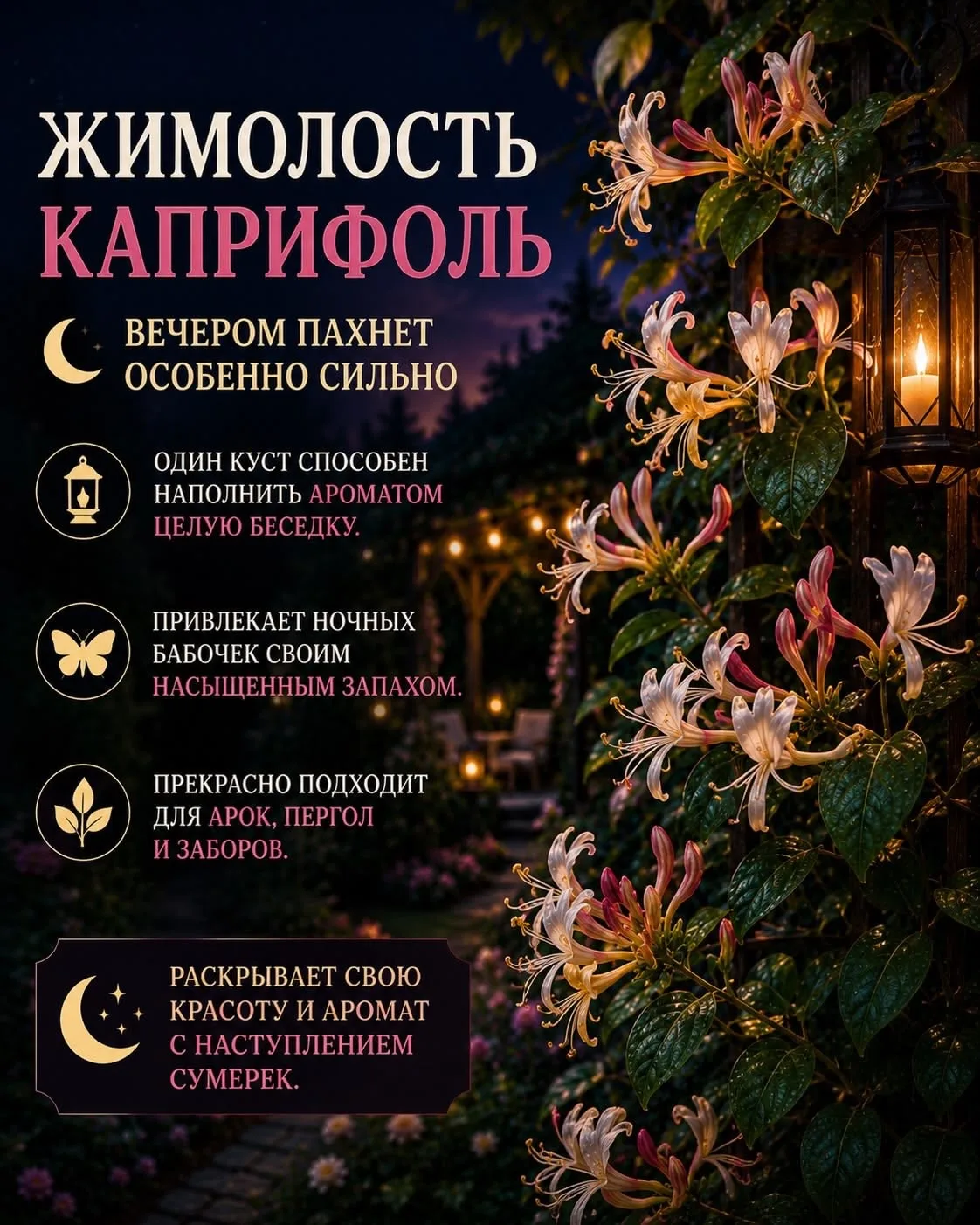 Домашний ботаник🪴