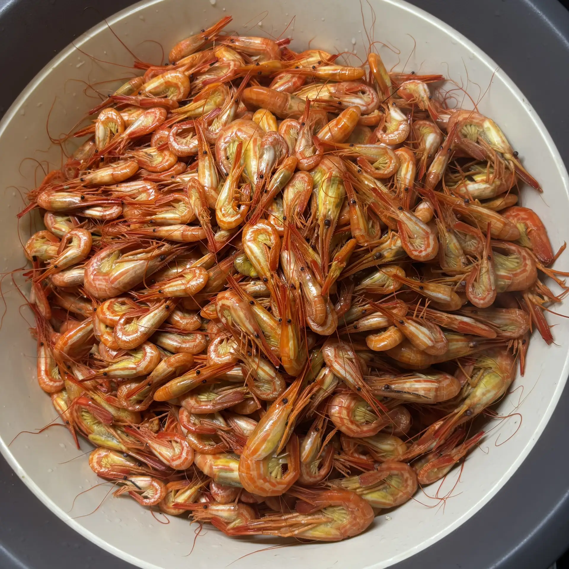 🦐