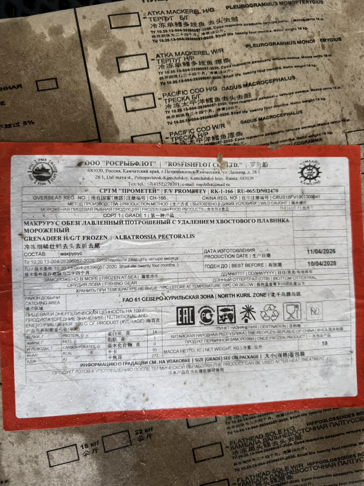 ✅ Макрурус БГ