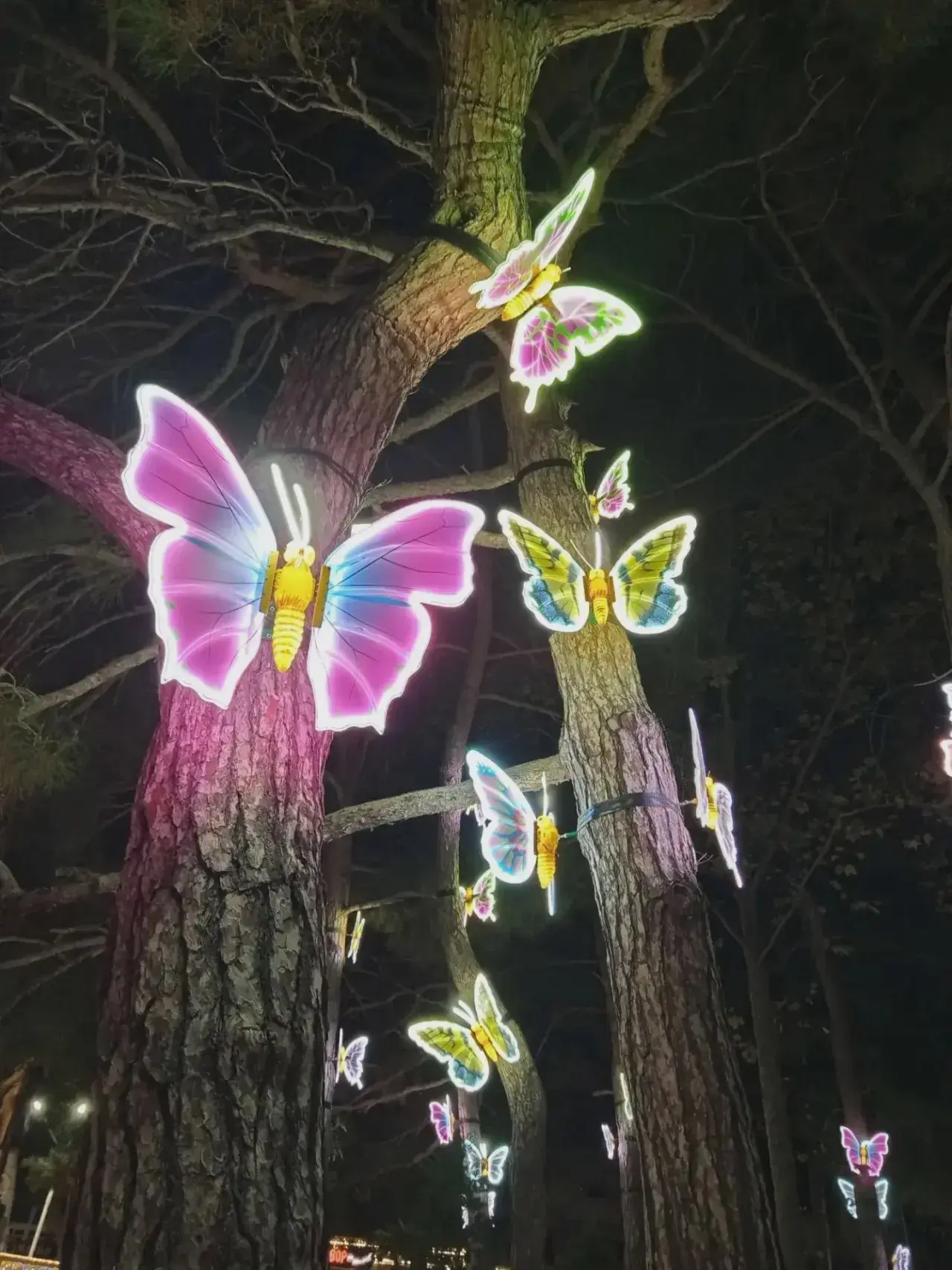 🌙 Вечерняя сказка в Геленджике