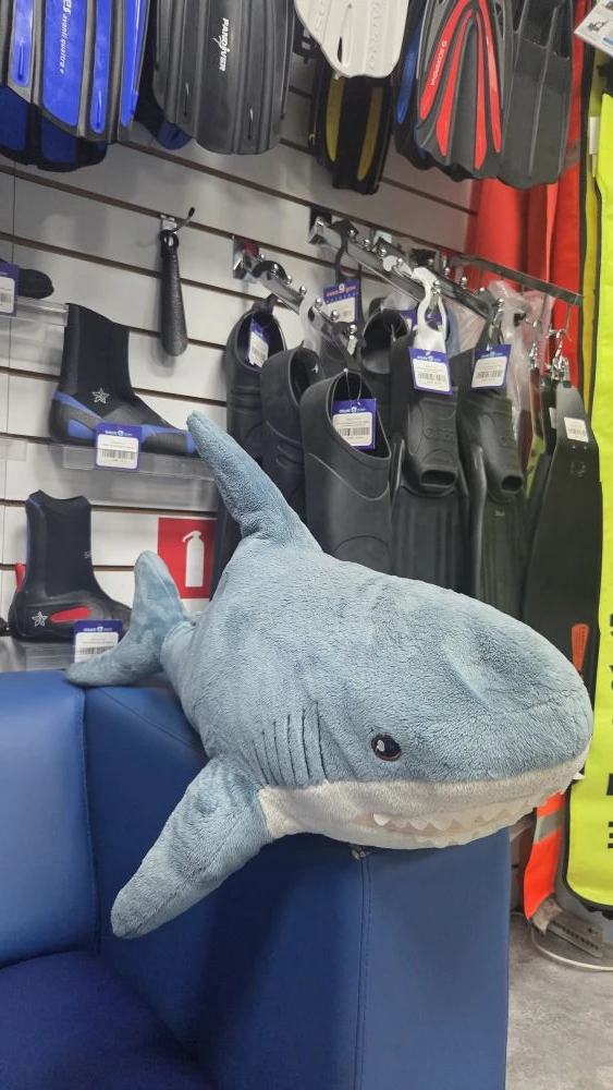 🦈 Ласты в в магазине Дайвинг" для  подводных приключений! 🌊