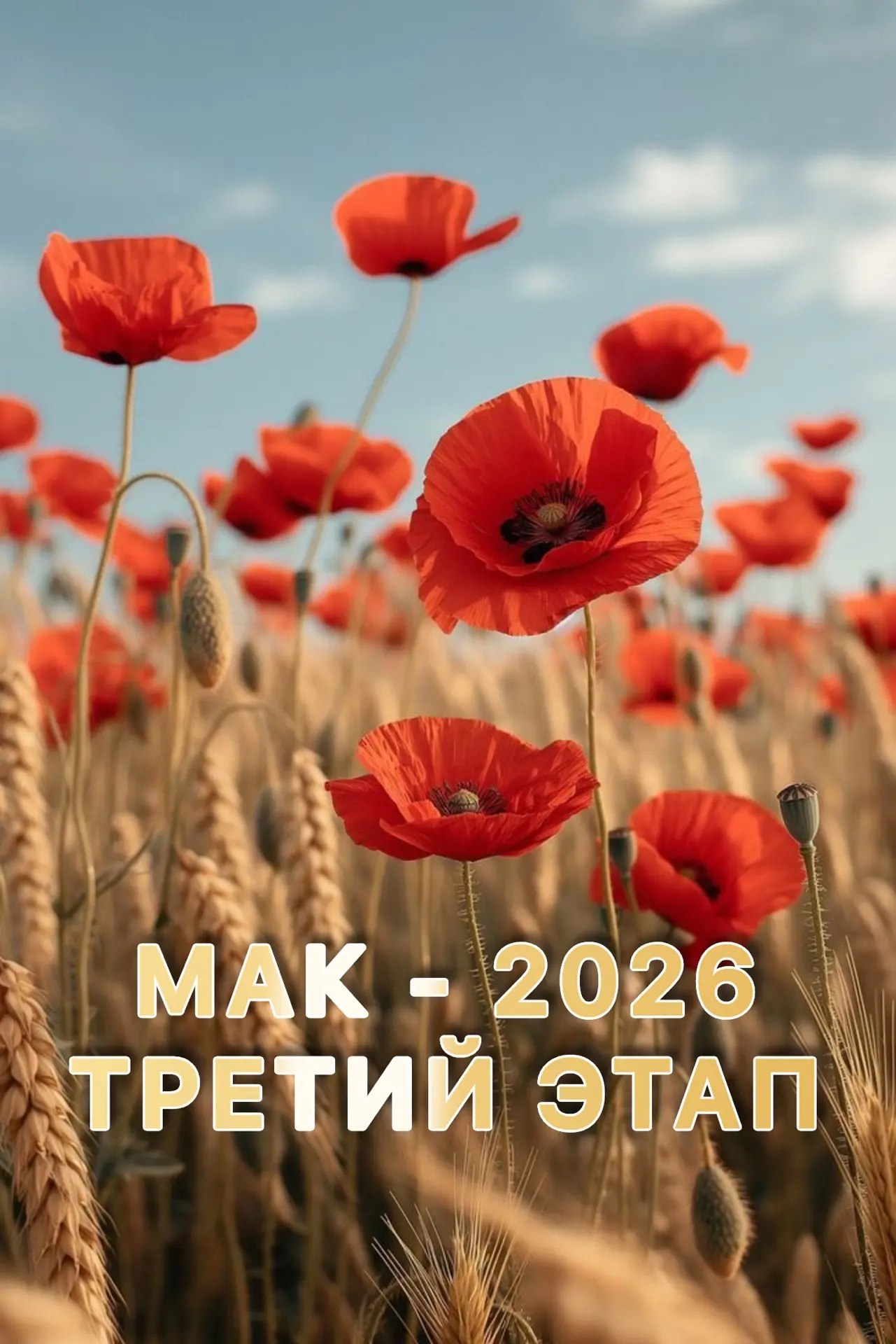 ☘️ Третий этап операции «Мак-2026» стартовал в районе