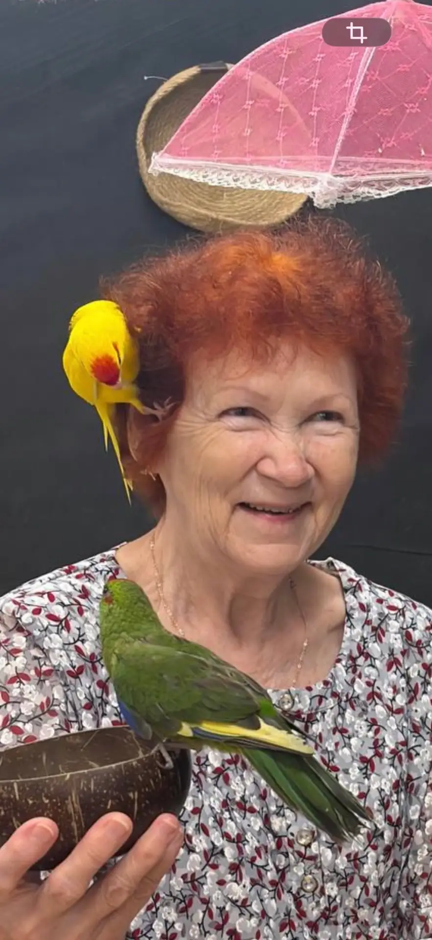 ❤️‍🔥🦜❤️‍🔥РОЗЫГРЫШ ВНИЗУ ПОСТА❤️‍🔥🦜❤️‍🔥