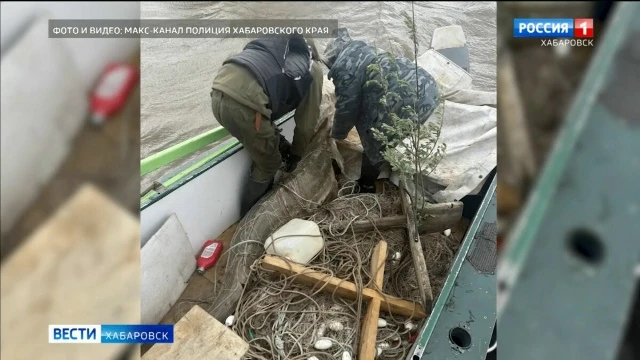 Незаконную осетровую фабрику ликвидировала полиция в Ульчском районе

Текст: ГТРК "Дальневосточная".