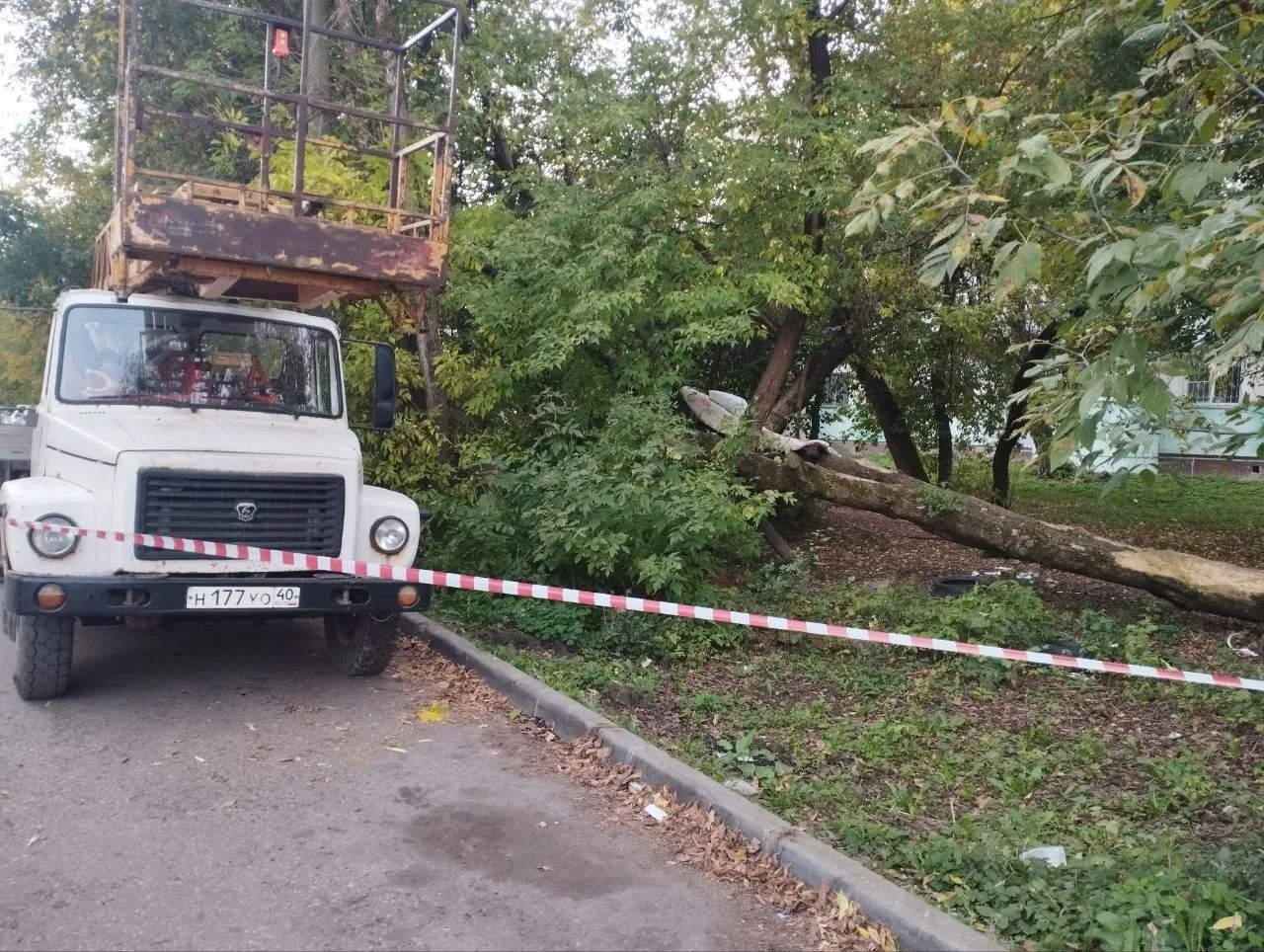 В 1-м переулке Пестеля наконец начали сносить аварийные деревья